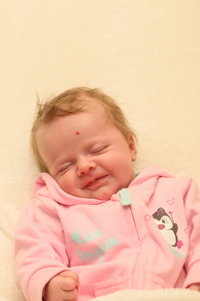 356_KN303_01500789_WRUCK-475770_Bild-fuer-Zeitung