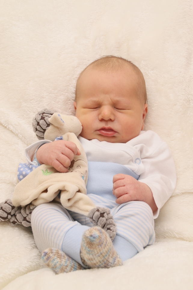 356_KN303_01503461_SCHELONKA-479078_Bild-fuer-Zeitung