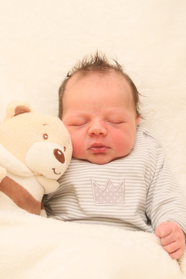 356_KN303_01504734_BUESCHER-480737_Bild-fuer-Zeitung