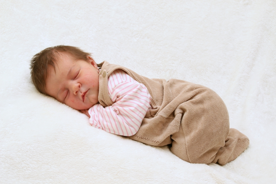 356_KN303_01505940_POMERRENKE-482272_Bild-fuer-Zeitung