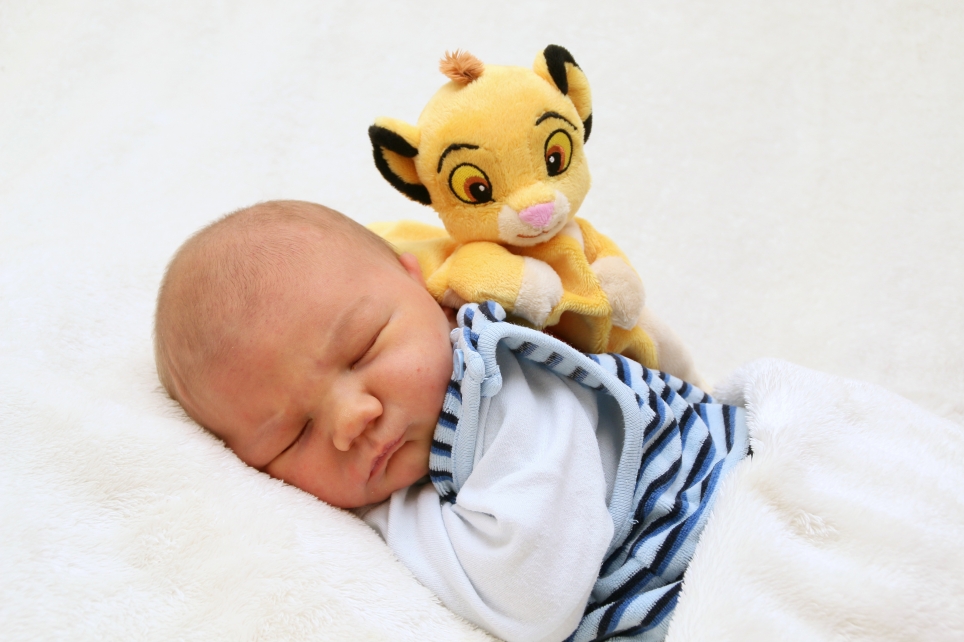 356_KN303_01505941_KOSEDA-482271_Bild-fuer-Zeitung