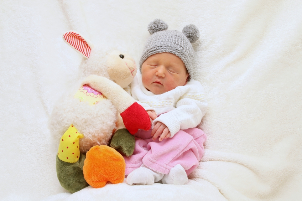 356_KN303_01514824_KIECKBUSCH-495867_Bild-fuer-Zeitung