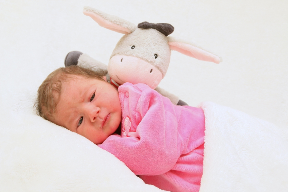 356_KN303_01515450_MIHALACHE-496962_Bild-fuer-Zeitung