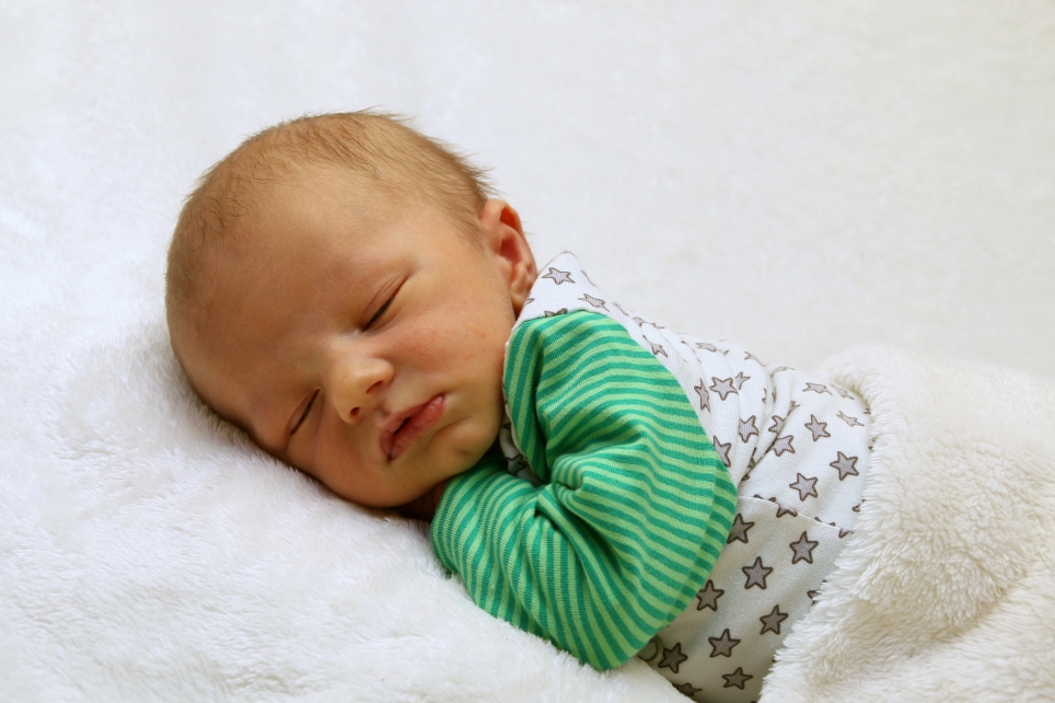 356_KN303_01518315_RETZLAFF-500720_Bild-fuer-Zeitung