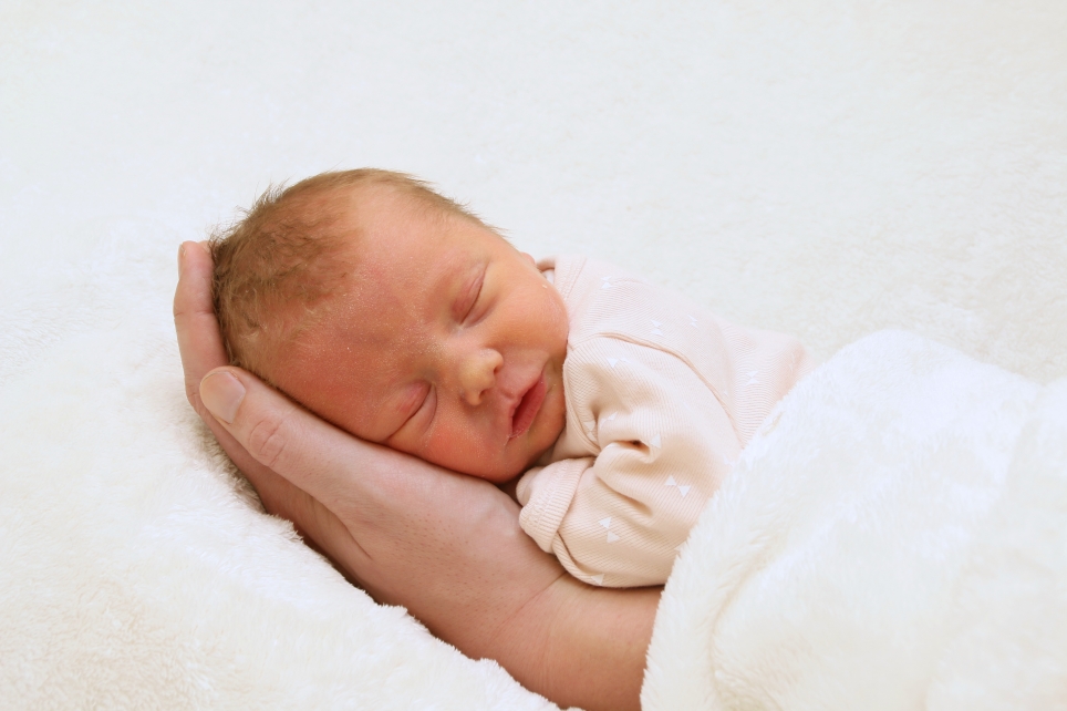 356_KN303_01519627_HILDEBRANDT-502430_Bild-fuer-Zeitung