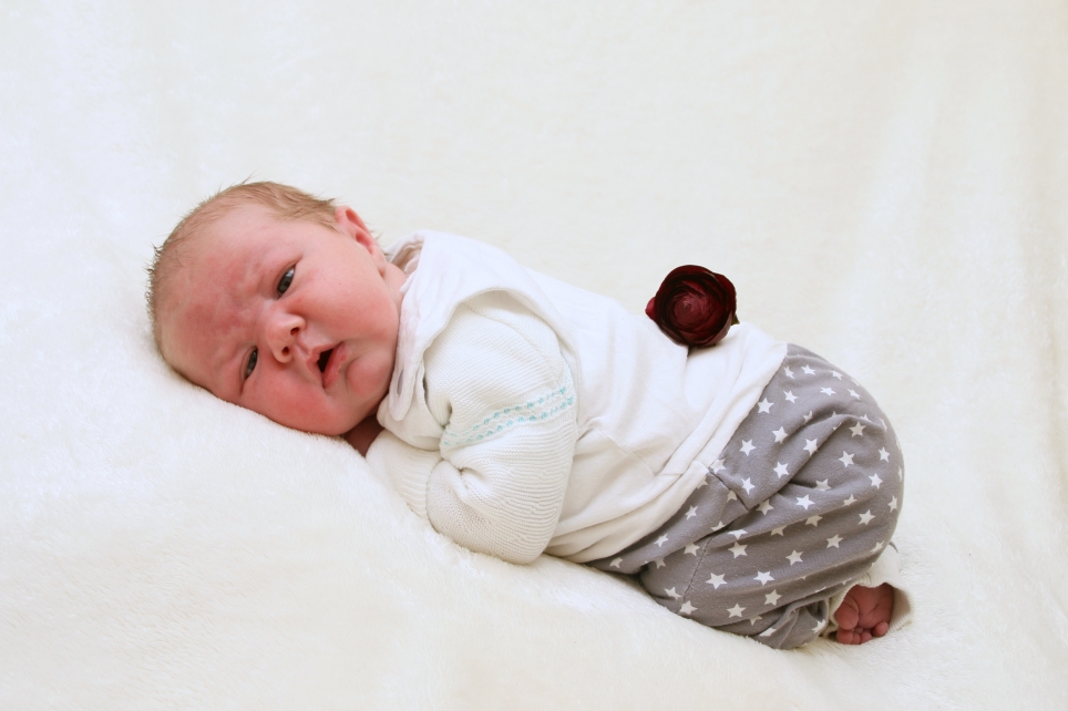 356_KN303_01521335_GUETSCHOW-504850_Bild-fuer-Zeitung