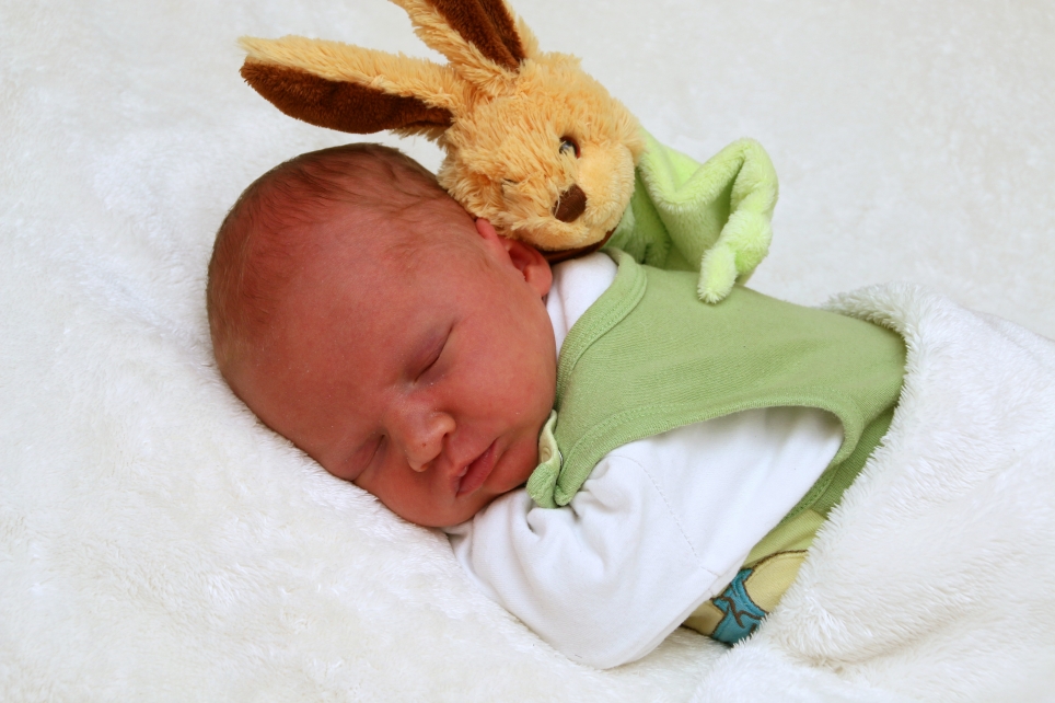 356_KN303_01522454_LUEBBE-505943_Bild-fuer-Zeitung