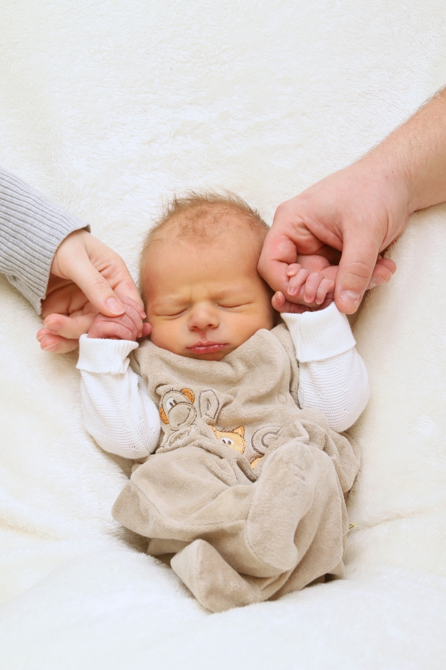 356_KN303_01522455_MEYER-505901_Bild-fuer-Zeitung