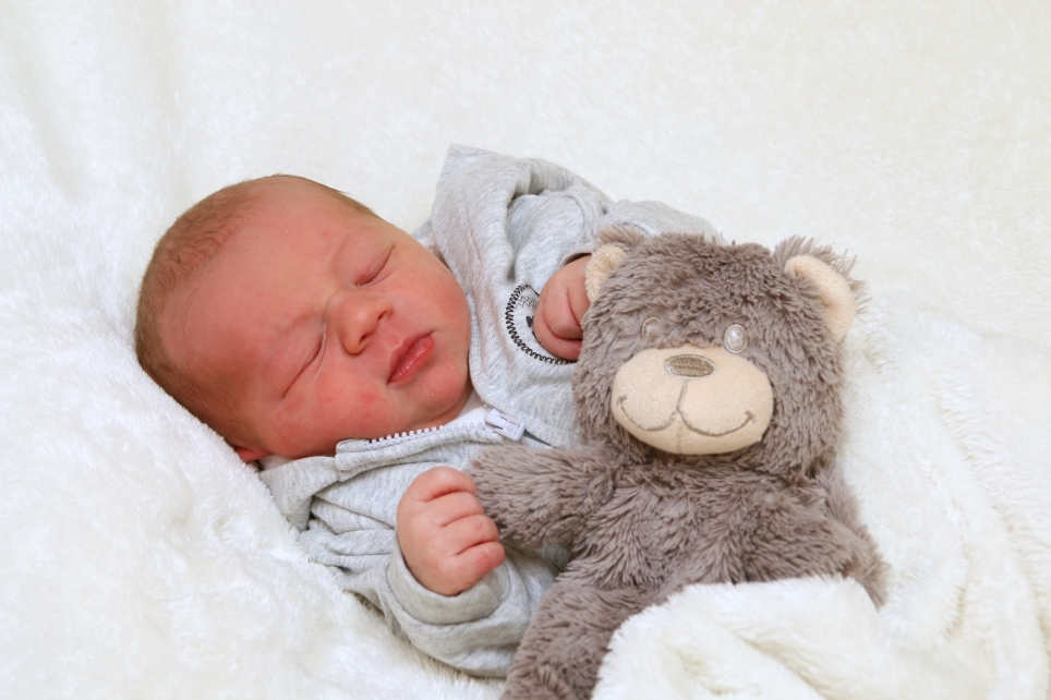 356_KN303_01523815_NEUMANN-507600_Bild-fuer-Zeitung