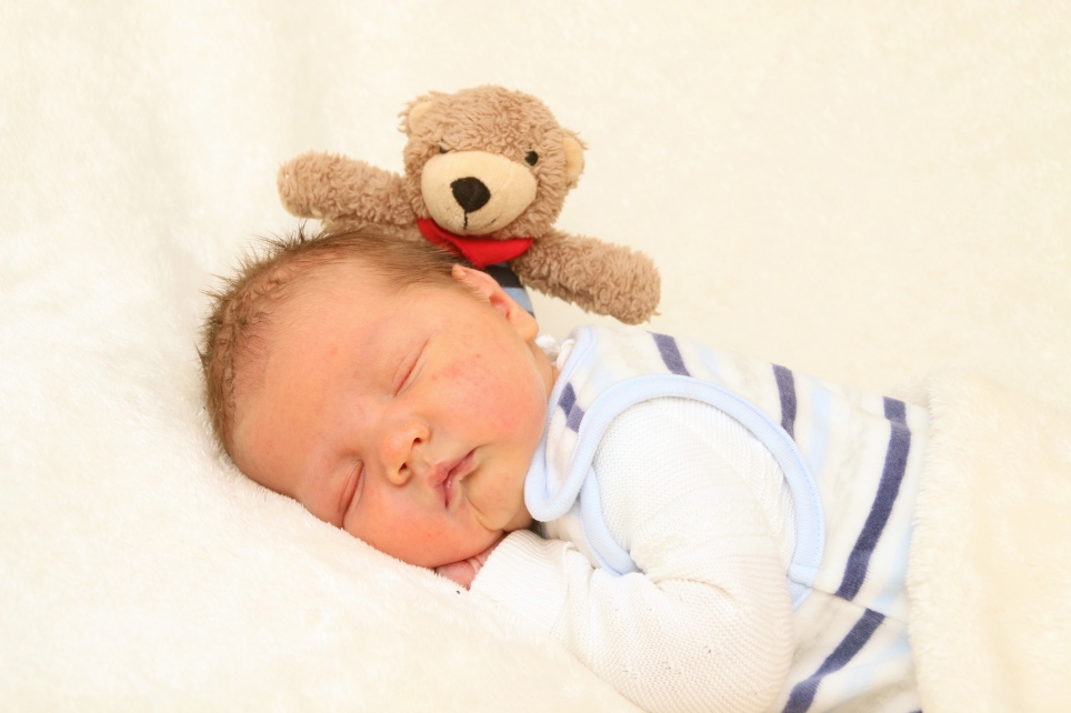 356_KN303_01524322_SABIELNY-508259_Bild-fuer-Zeitung