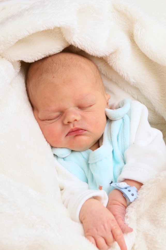 356_KN303_01525313_THOMAS-509581_Bild-fuer-Zeitung