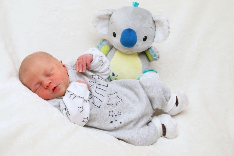 356_KN303_01525315_ROEPER-509574_Bild-fuer-Zeitung