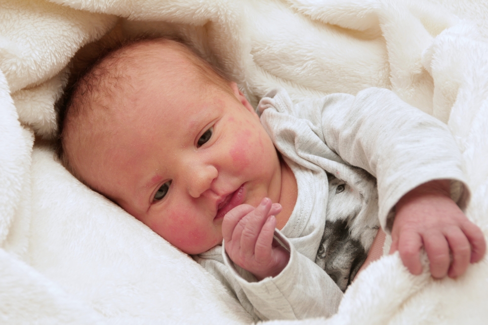 356_KN303_01534137_VIBRANS-520589_Bild-fuer-Zeitung