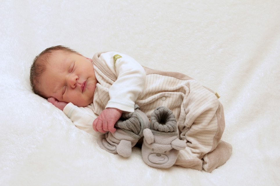 356_KN303_01534516_BOERST-520991_Bild-fuer-Zeitung