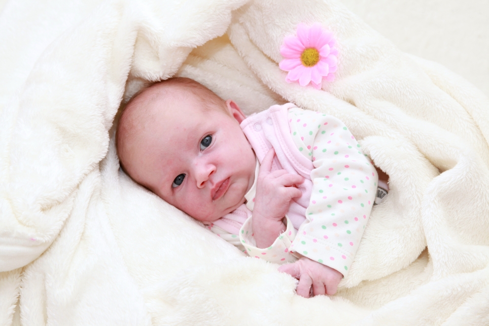 356_KN303_01553857_KADEN-552821_Bild-fuer-Zeitung