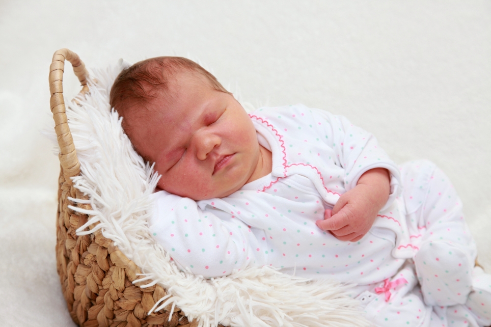 356_KN303_01554639_KRAUSE-553895_Bild-fuer-Zeitung