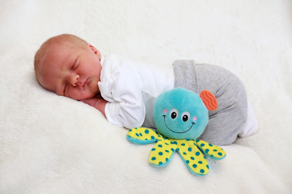 356_KN303_01554640_STUEDEMANN-554028_Bild-fuer-Zeitung