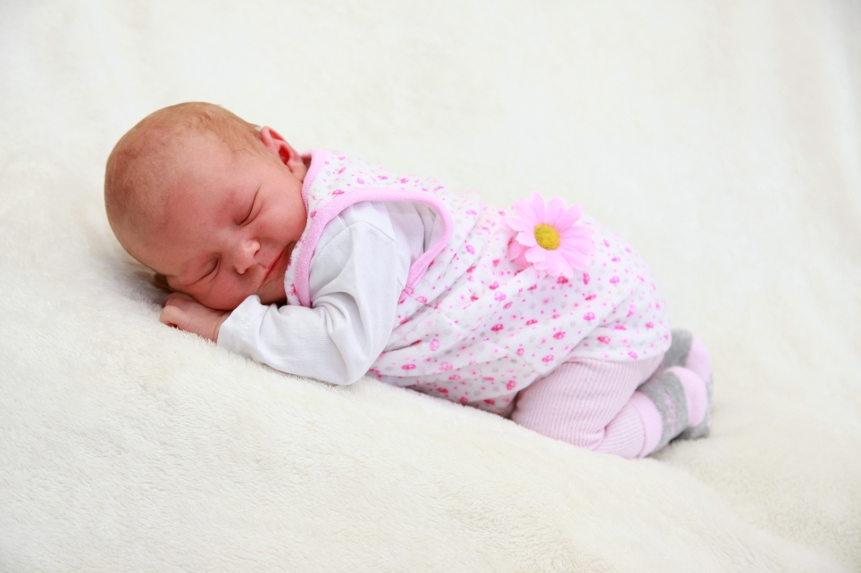 356_KN303_01554643_LANGE-553929_Bild-fuer-Zeitung