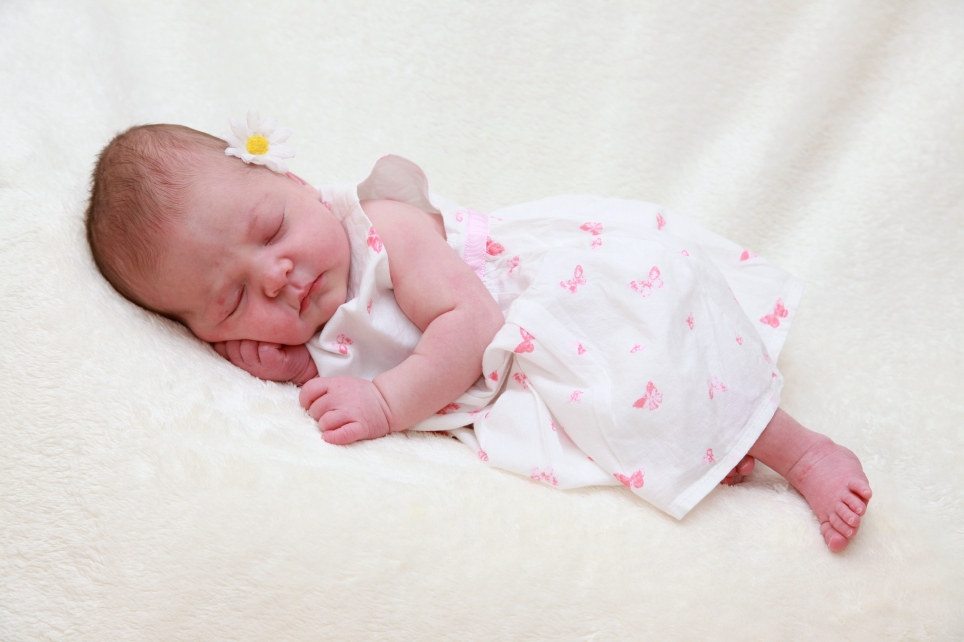 356_KN303_01556485_LOOSE-556419_Bild-fuer-Zeitung