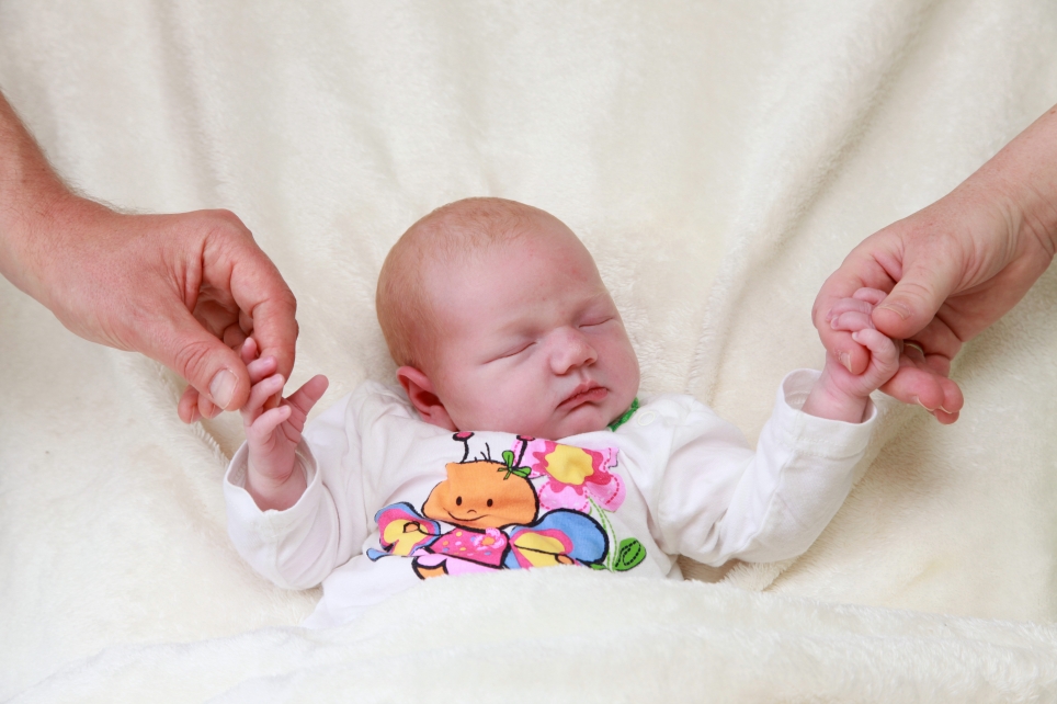 356_KN303_01560335_BEER-561390_Bild-fuer-Zeitung