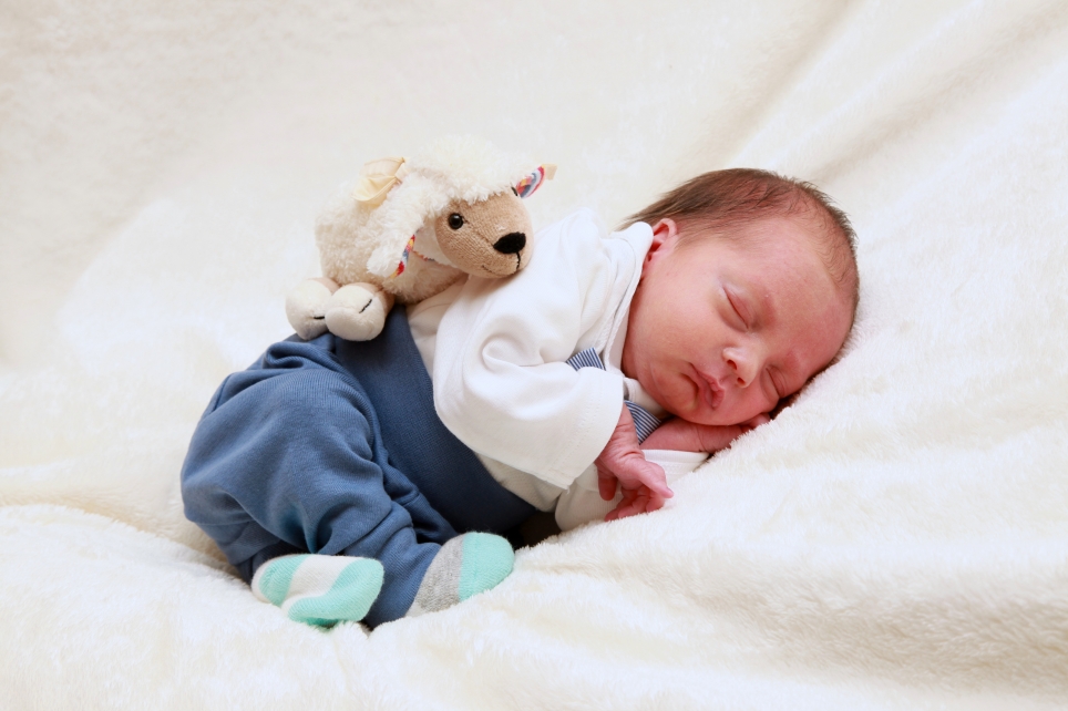 356_KN303_01560336_TREISCH-561398_Bild-fuer-Zeitung