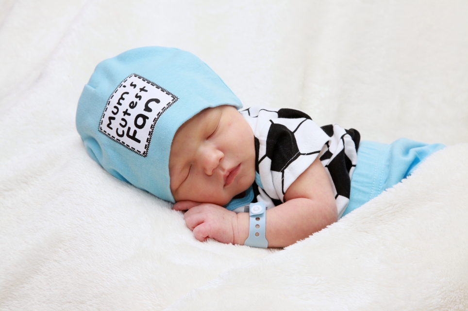 356_KN303_01560337_EHRLICH-561409_Bild-fuer-Zeitung