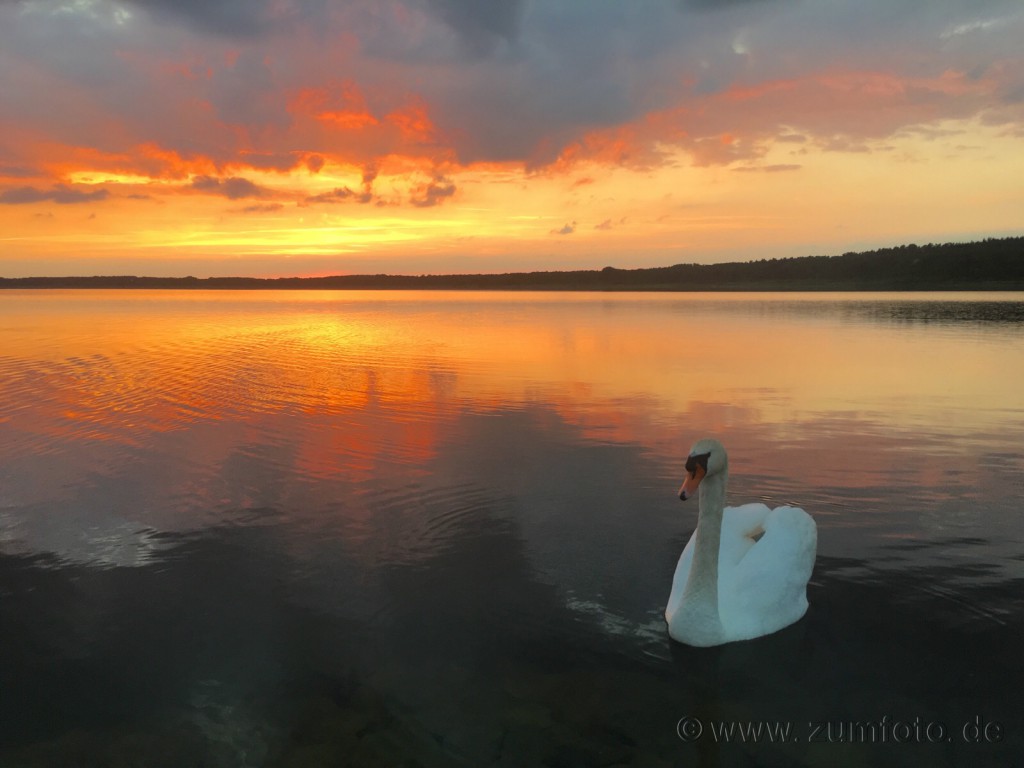 watermark20160621-095418