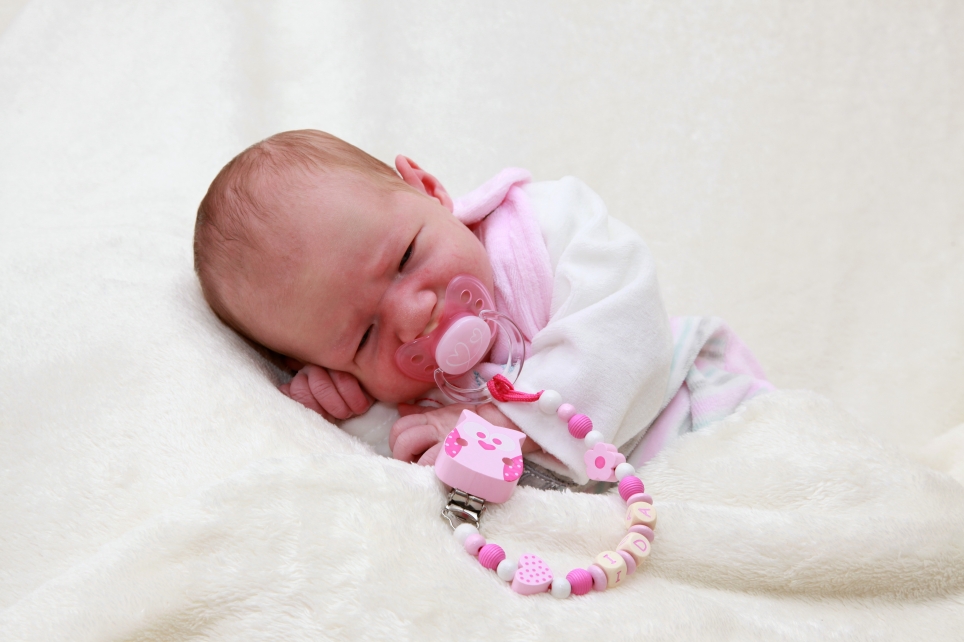 356_KN303_01567932_REMUS-573464_Bild-fuer-Zeitung