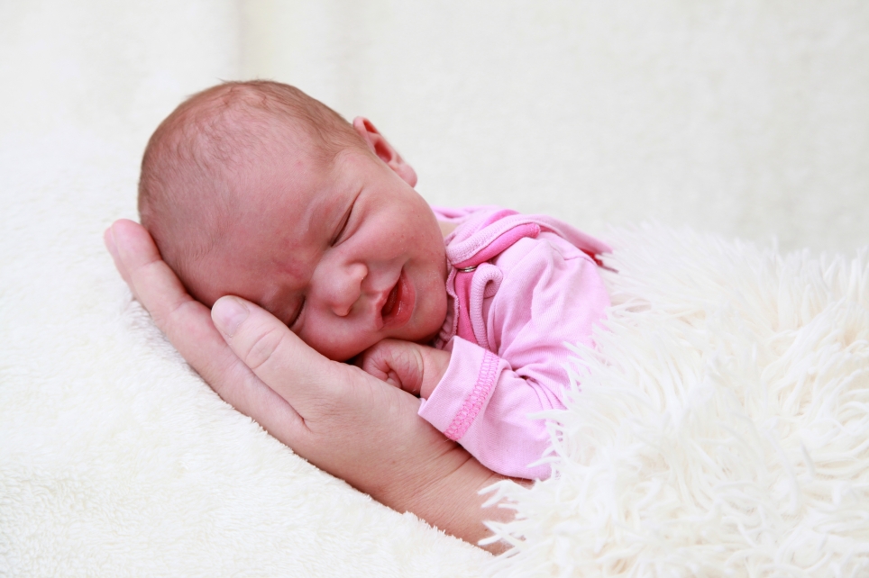 356_KN303_01570986_PAAPE-577453_Bild-fuer-Zeitung