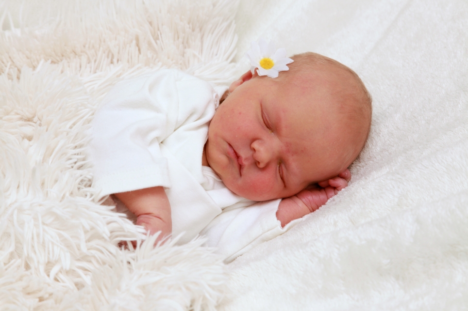 356_KN303_01574149_ZITELMANN-581294_Bild-fuer-Zeitung