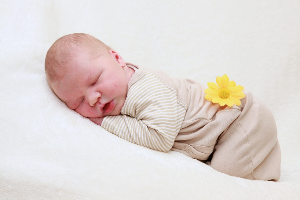 356_KN303_01574150_KIRWITZKE-581264_Bild-fuer-Zeitung