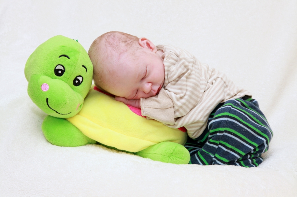 356_KN303_01574151_GIESE-581303_Bild-fuer-Zeitung