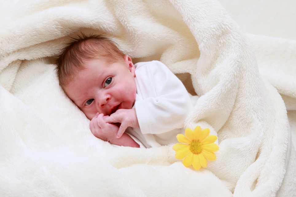 356_KN303_01574152_SEMRAU-581306_Bild-fuer-Zeitung