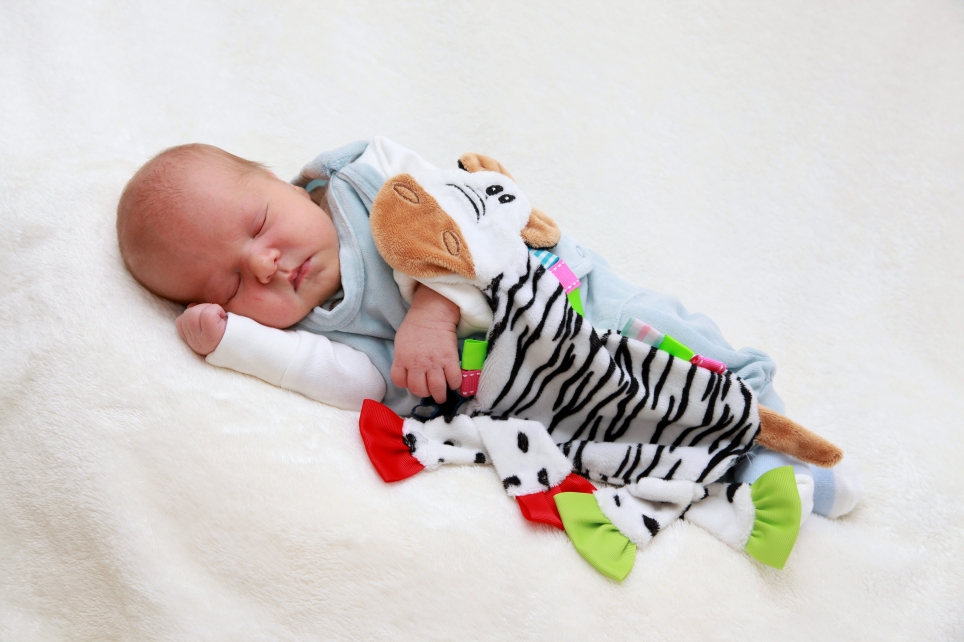 356_KN303_01574979_HEINZE-582378_Bild-fuer-Zeitung