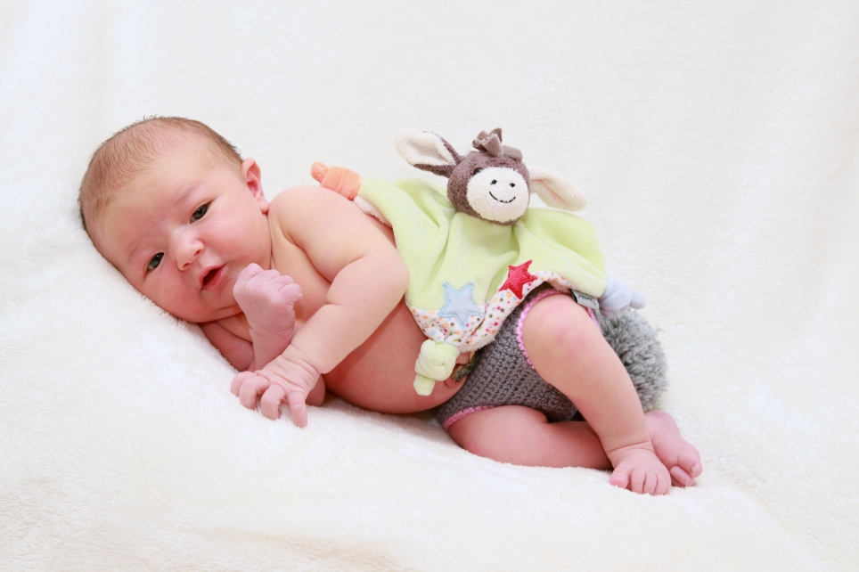 356_KN303_01588649_DROLSHAGEN-599575_Bild-fuer-Zeitung