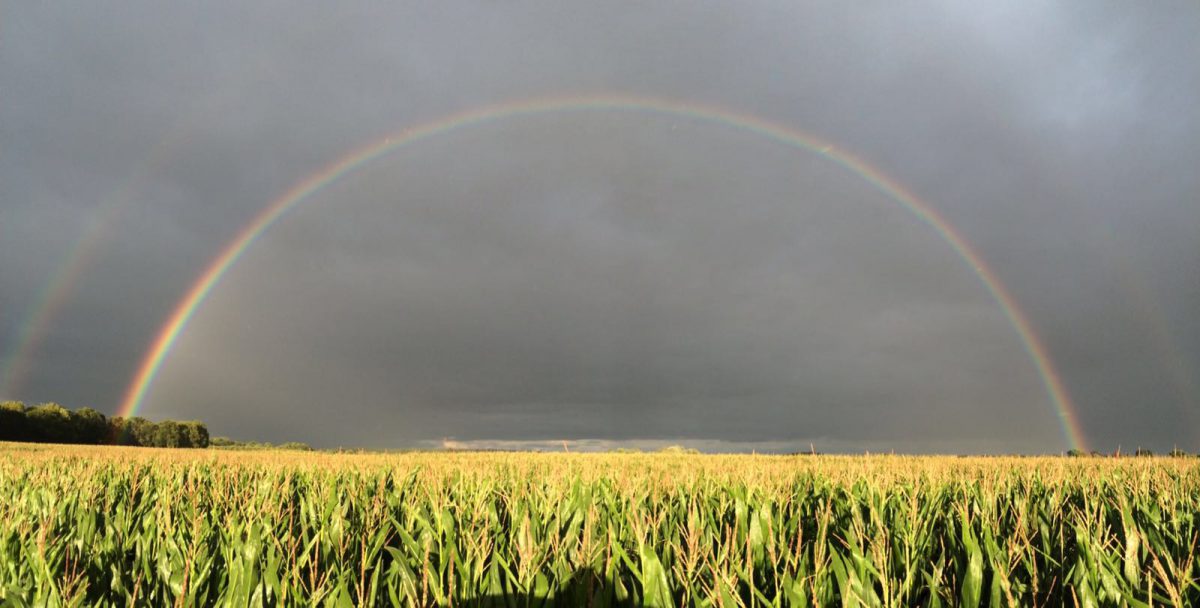 Regenbogen