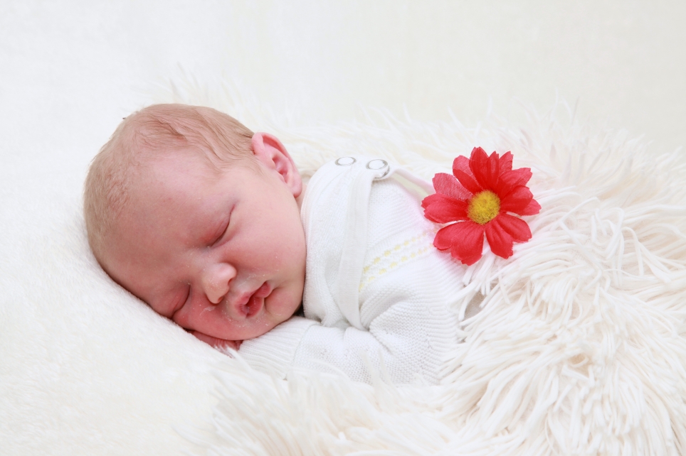 356_KN303_01591410_GLAEWE-603056_Bild-fuer-Zeitung