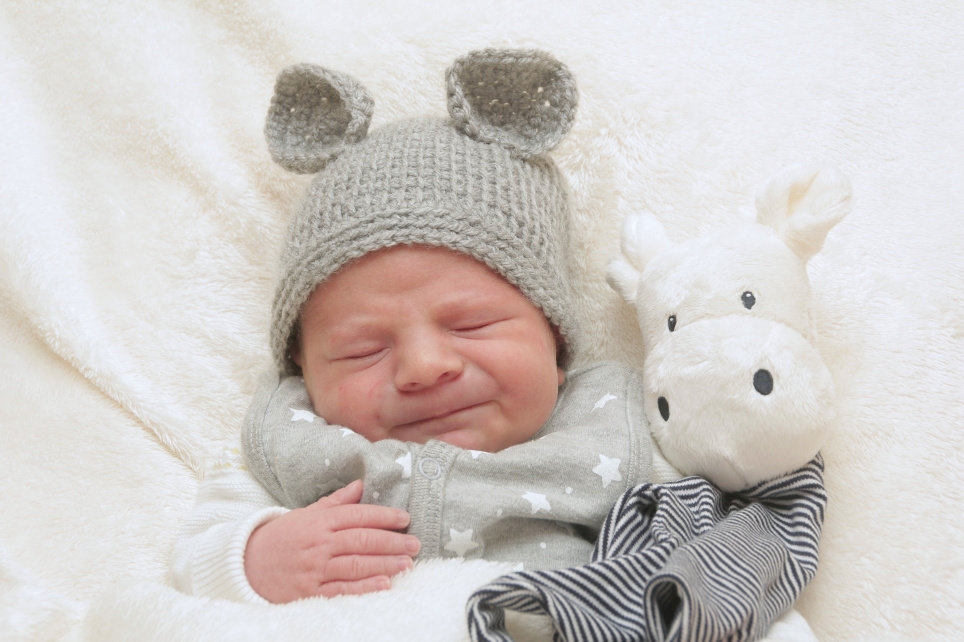 356_kn303_01597927_schwerbler-611170_bild-fuer-zeitung