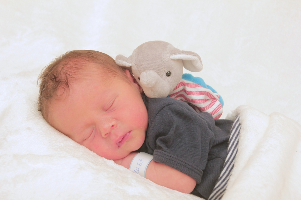 356_kn303_01600957_falasz-615009_bild-fuer-zeitung