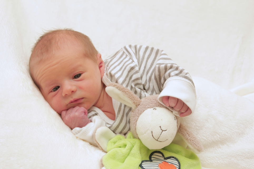 356_kn303_01602963_dimmelmeier-617554_bild-fuer-zeitung