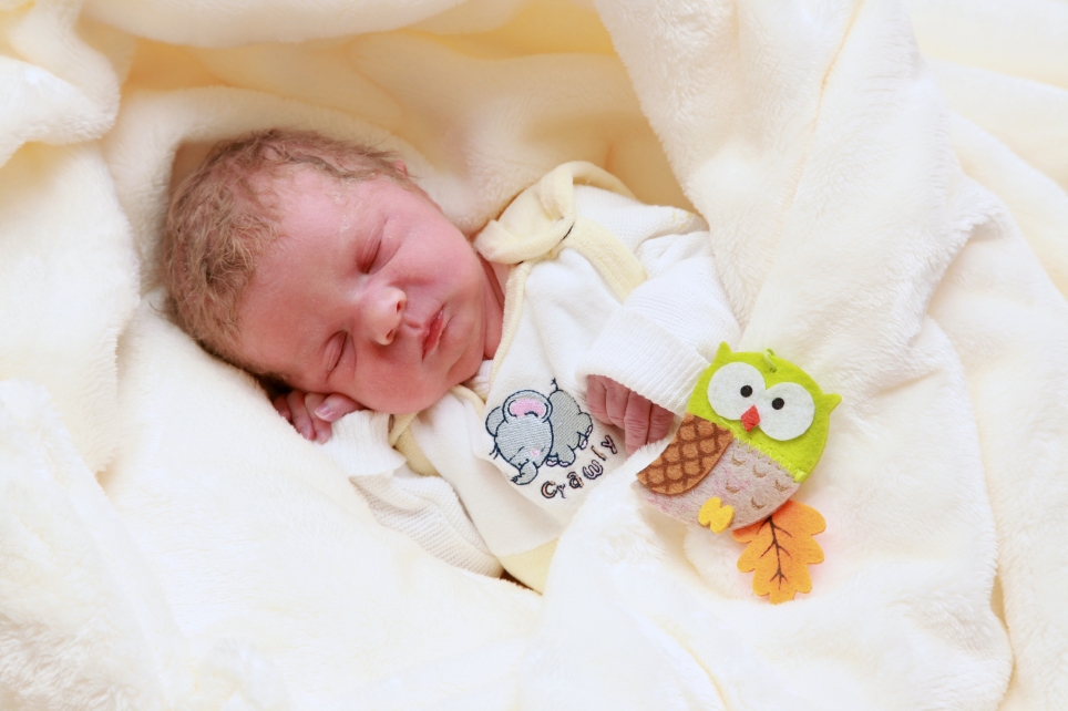 356_kn303_01615249_baranowski-633331_bild-fuer-zeitung