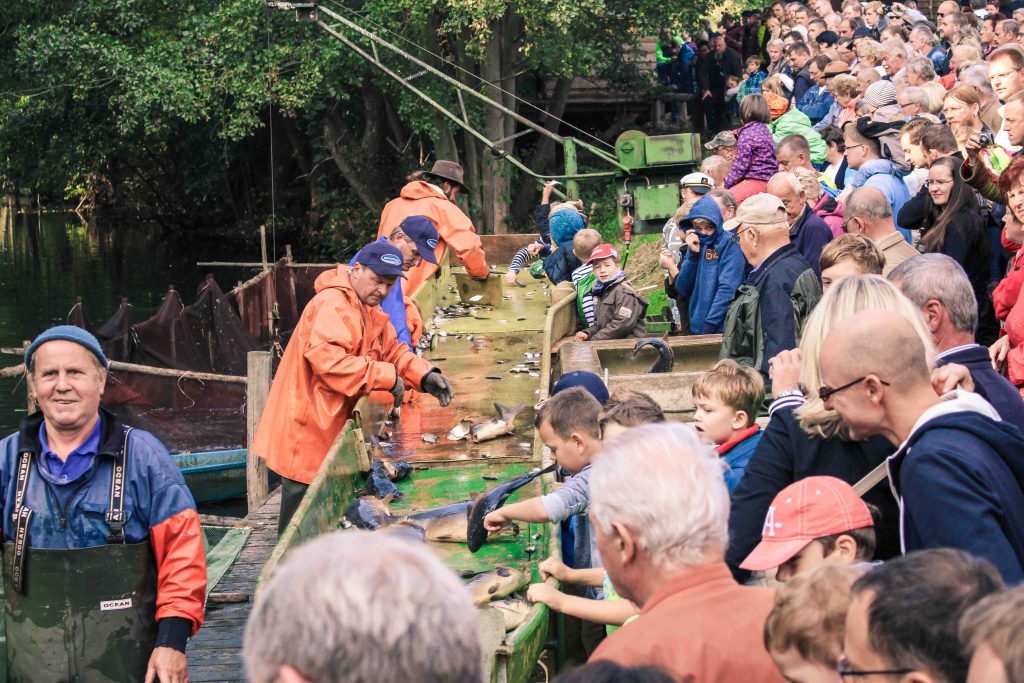 mf_abfischfest_2015-2