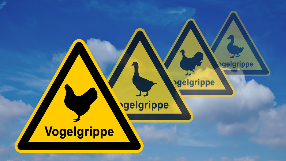ib1 InfoBanner - Vogelgrippe Warnsymbol ohne Viren 16zu9 g2634