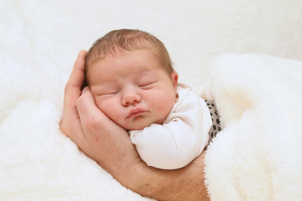 356_kn303_01618312_riese-637363_bild-fuer-zeitung