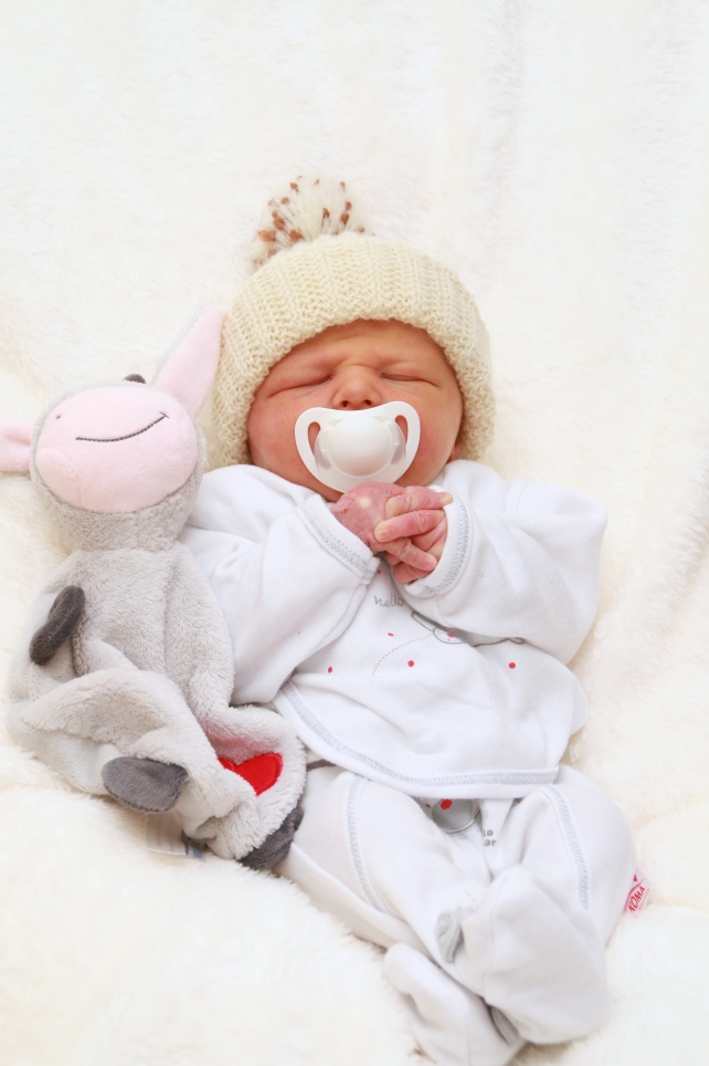 356_kn303_01620049_schulz-639543_bild-fuer-zeitung