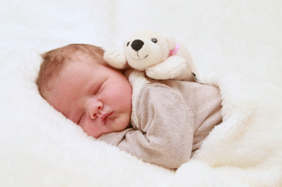 356_kn303_01620050_bose-639541_bild-fuer-zeitung