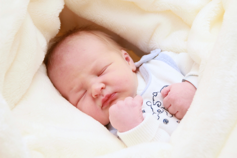 356_kn303_01627915_lihs-649463_bild-fuer-zeitung