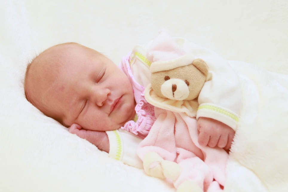 356_kn303_01627916_valentin-649453_bild-fuer-zeitung