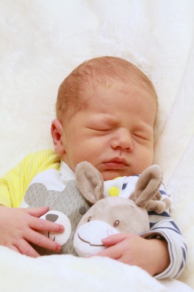 356_kn303_01629034_freitag-650937_bild-fuer-zeitung