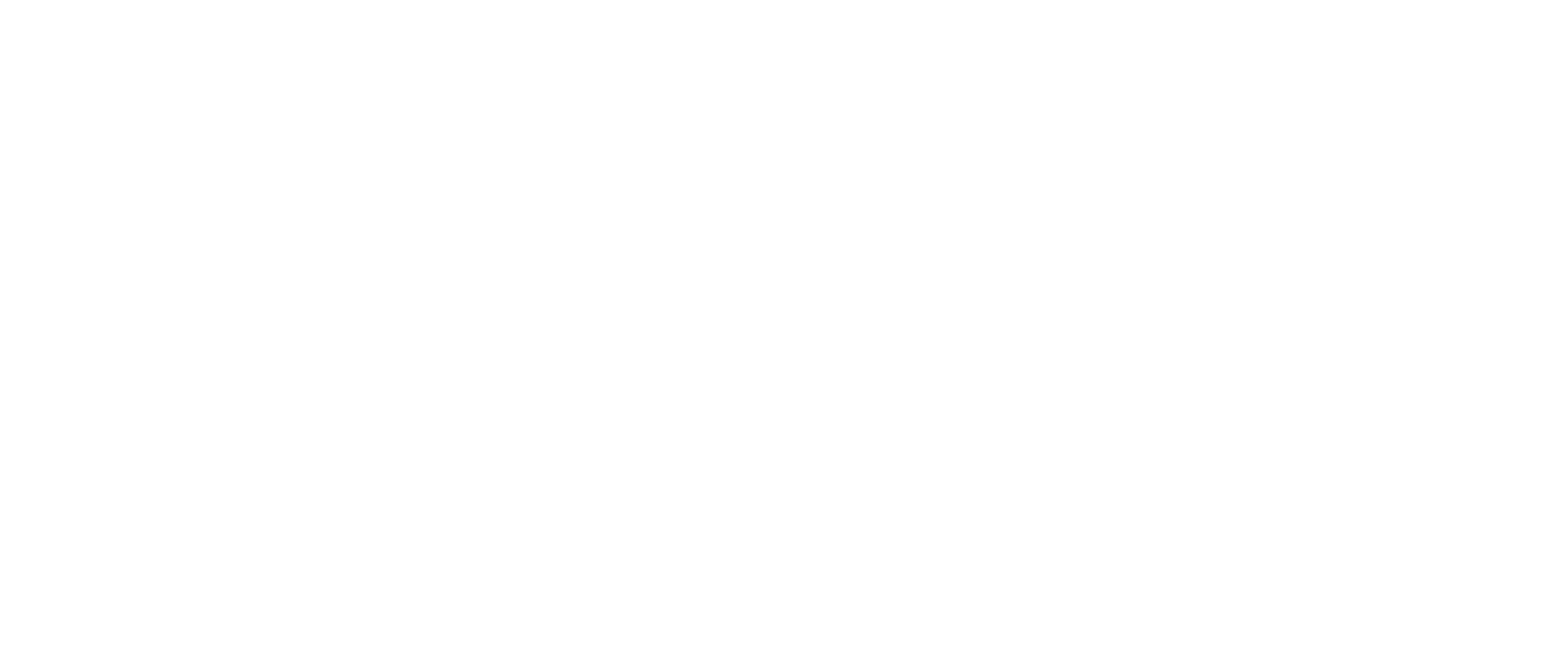 Ontwikkelaar